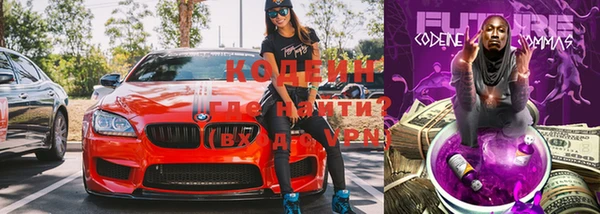 молекула духа Майский