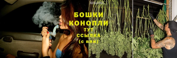 молекула духа Майский