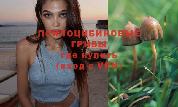 mdpv Магадан