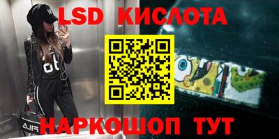 ПСИЛОЦИБИНОВЫЕ ГРИБЫ Камышлов