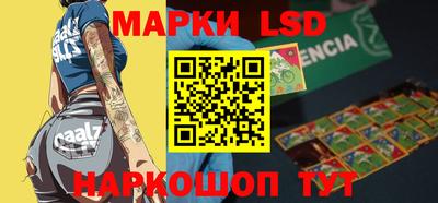 ПСИЛОЦИБИНОВЫЕ ГРИБЫ Камышлов
