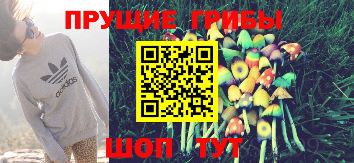 Галлюциногенные грибы Cubensis  Вход с VPN  Тихорецк 